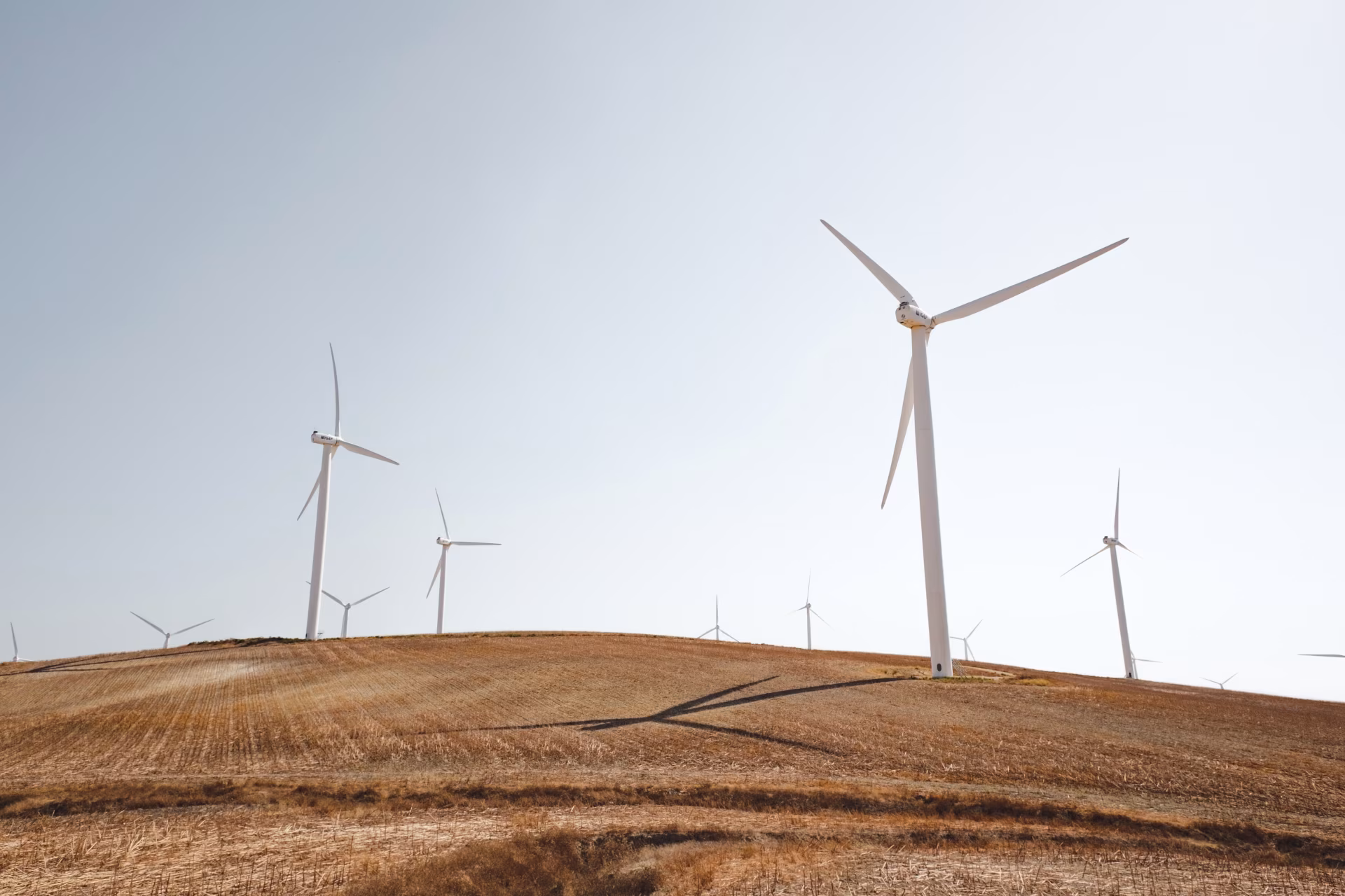 Windräder auf einem trockenen, hügeligen Feld gegen hellen Himmel
