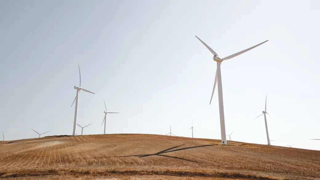 Windräder stehen auf einem Feld